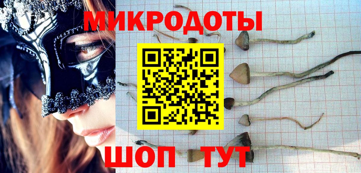 Псилоцибиновые грибы Psilocybe  Галлюциногенные грибы мицелий  Ржев  Вход с VPN 