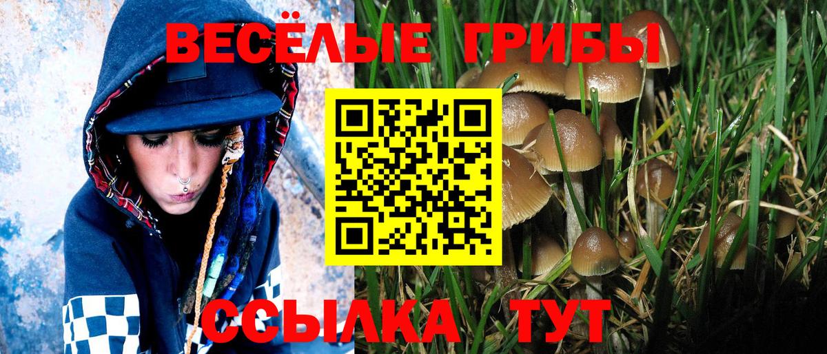 Псилоцибиновые грибы MAGIC MUSHROOMS Ржев